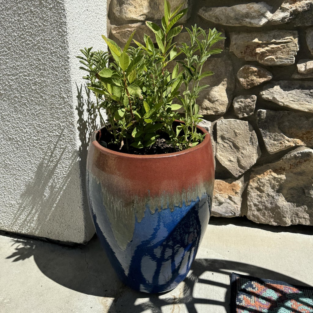 Planting