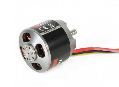 Math and Motor Selection