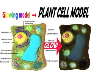 Cell Model Educational Model From Recycled Materials