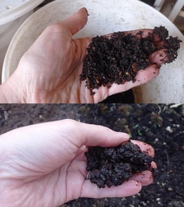 Feed the Worms and Care for Them