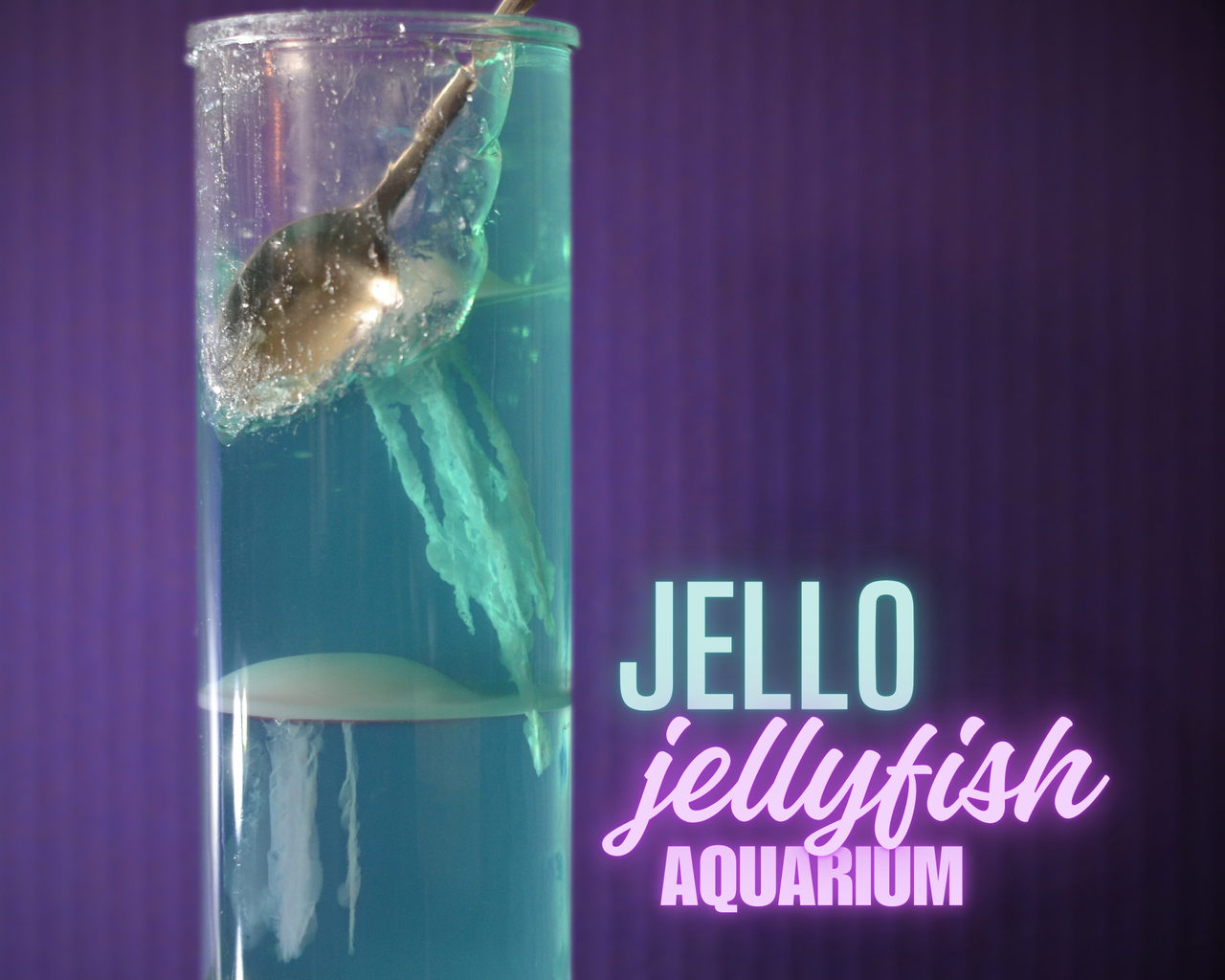JELLO Jellyfish Aquarium