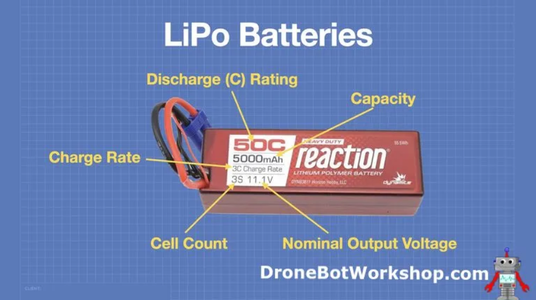 Electronic Selection