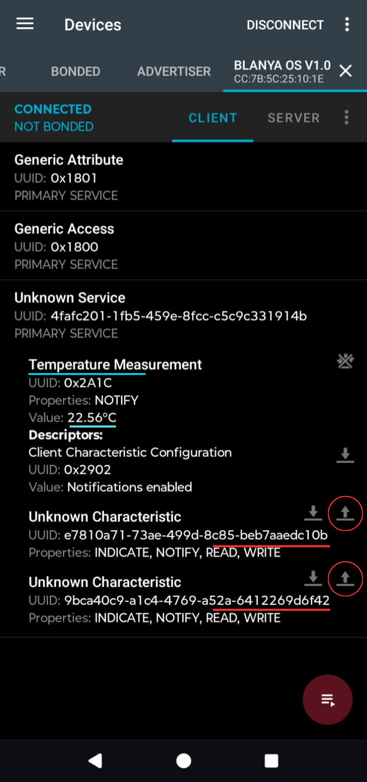 Run Leak and Connection Tests