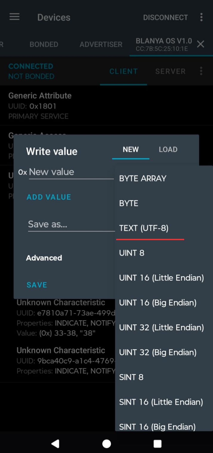 Run Leak and Connection Tests